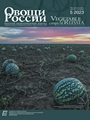 Титульный лист